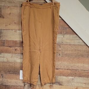 J. Crew Factory Tan Women's Pants